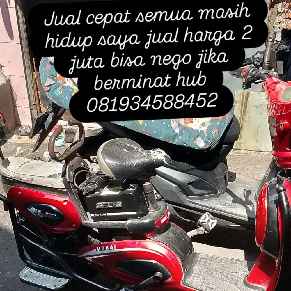 Jual cepat Selis murai
