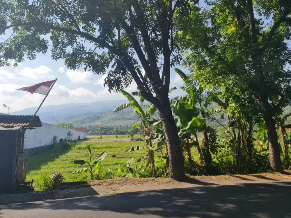 Dijual tanah sawah cocok untuk hotel dan vila
