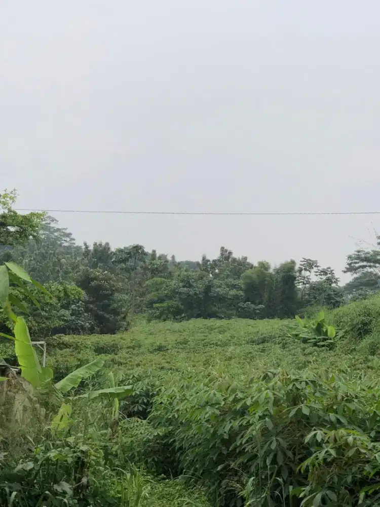 Dijual tanah utk investasi Kab. Bogor lt.1095m2