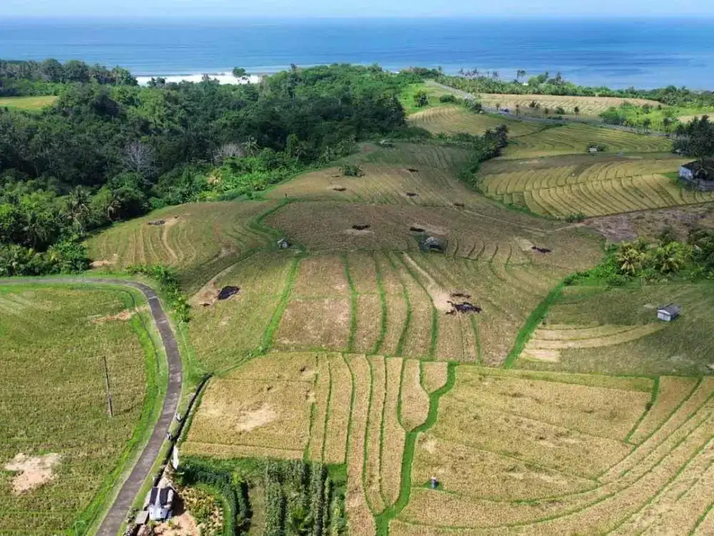 freehold pantai pasut Tabanan bali