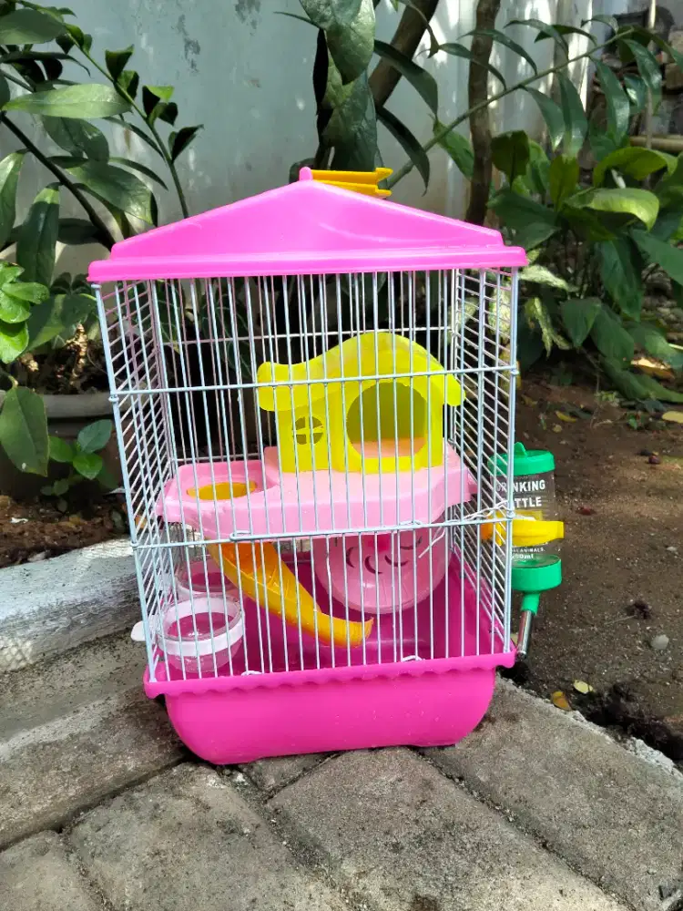 Kandang hamster