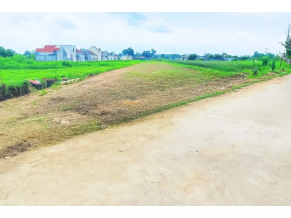 View Sawah, Jual Tanah Di Sidoarum Godean