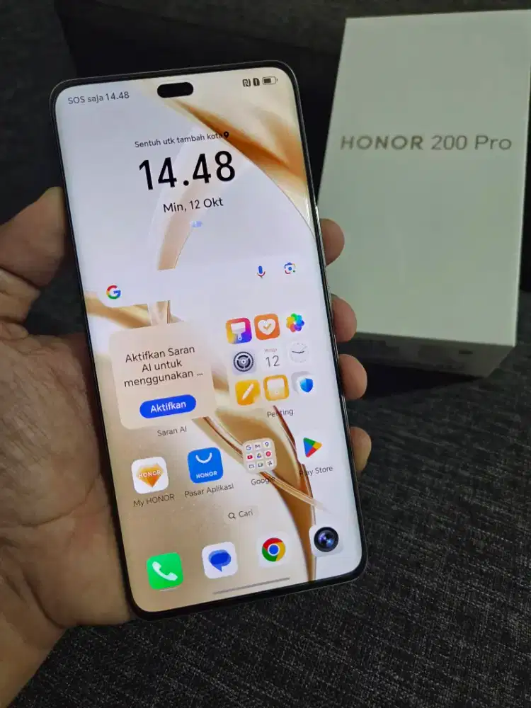 Honor 200 Pro 12/512