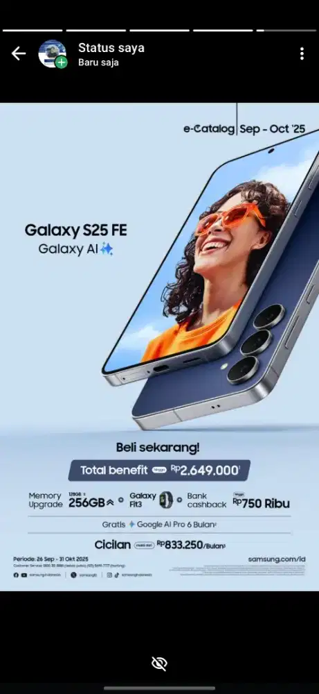SAMSUNG S25 FE 8/256