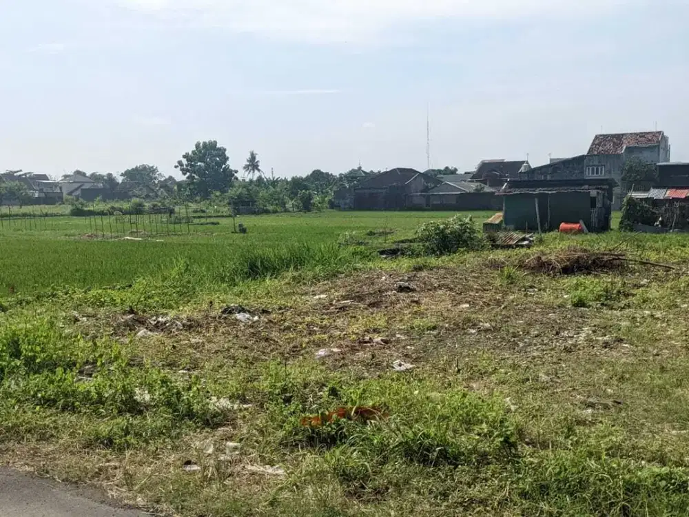 Tanah Jambon belakang Perumahan Nogotirto dan RS Queen Latifa Jogja
