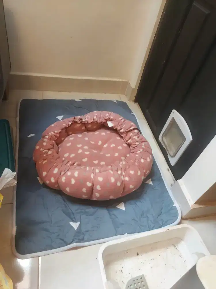 Peralatan Kucing paket