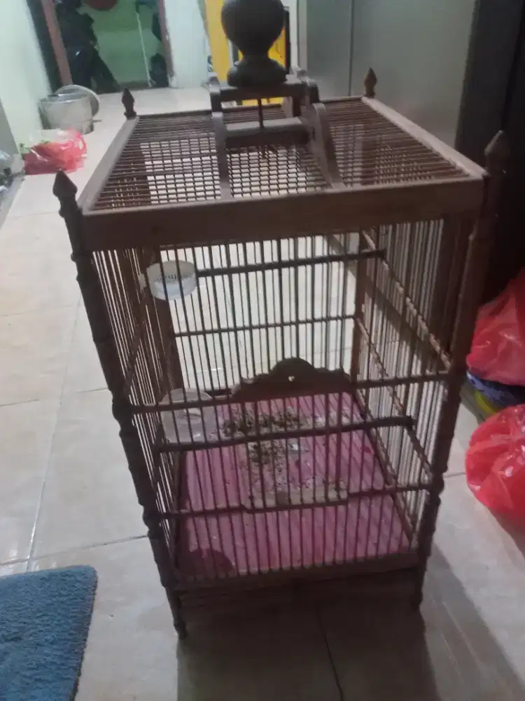 Di jual sangkar burung kayu