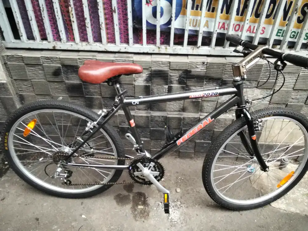 Dijual federal city cat