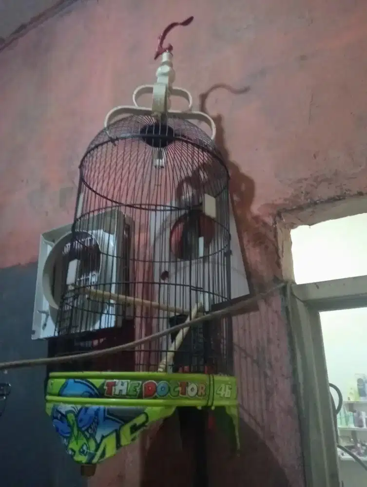 Sangkar burung kicau