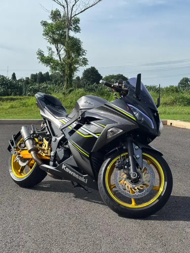 Ninja 250 FI full modif