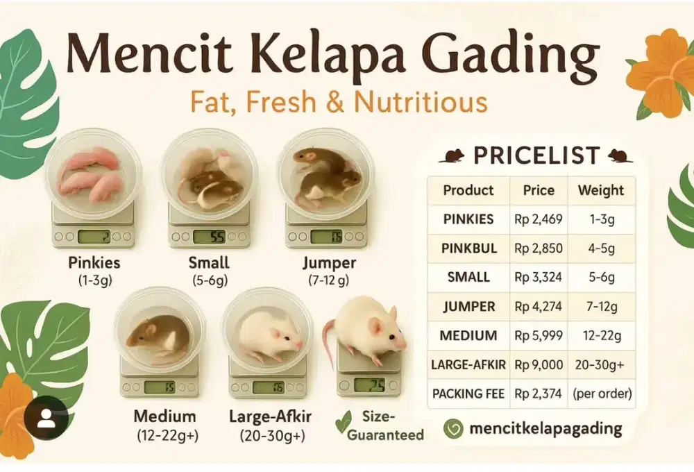 Pakan reptil uler