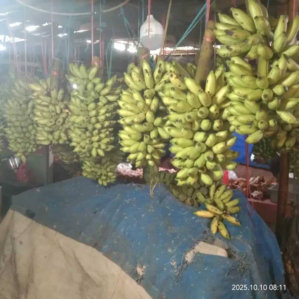 jual pisang (Ambon,cavendis,lampung, uli..)