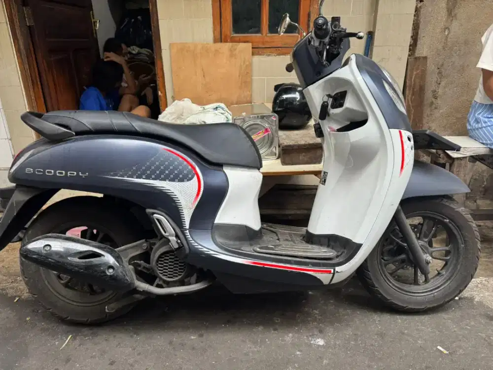 Scoopy stylist 2024