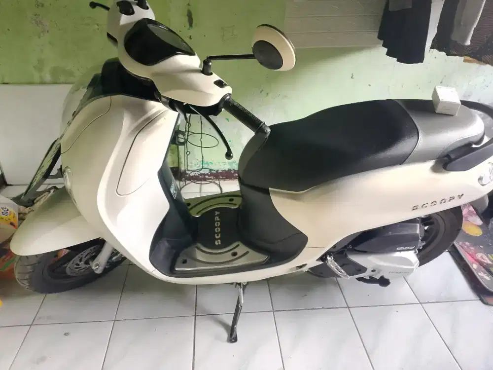 Scoopy keyles 2025