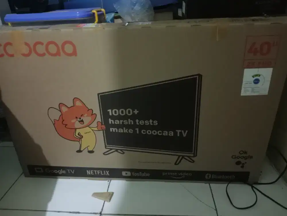 Smart TV (Google TV)