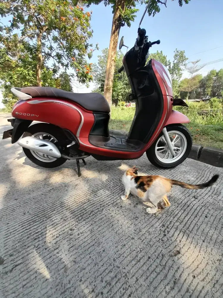 2022 Honda Scoopy Stylish type tertinggi