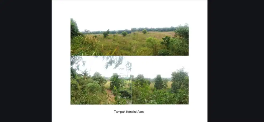 Investasi Terbaik! Tanag 5.1 Hektae di tepi Jalan Raya Narogong