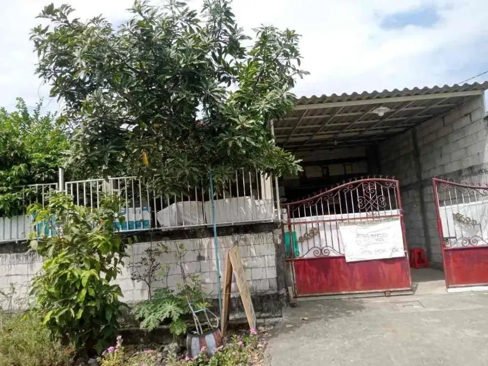 dijual Rumah Di medokan Ayu !