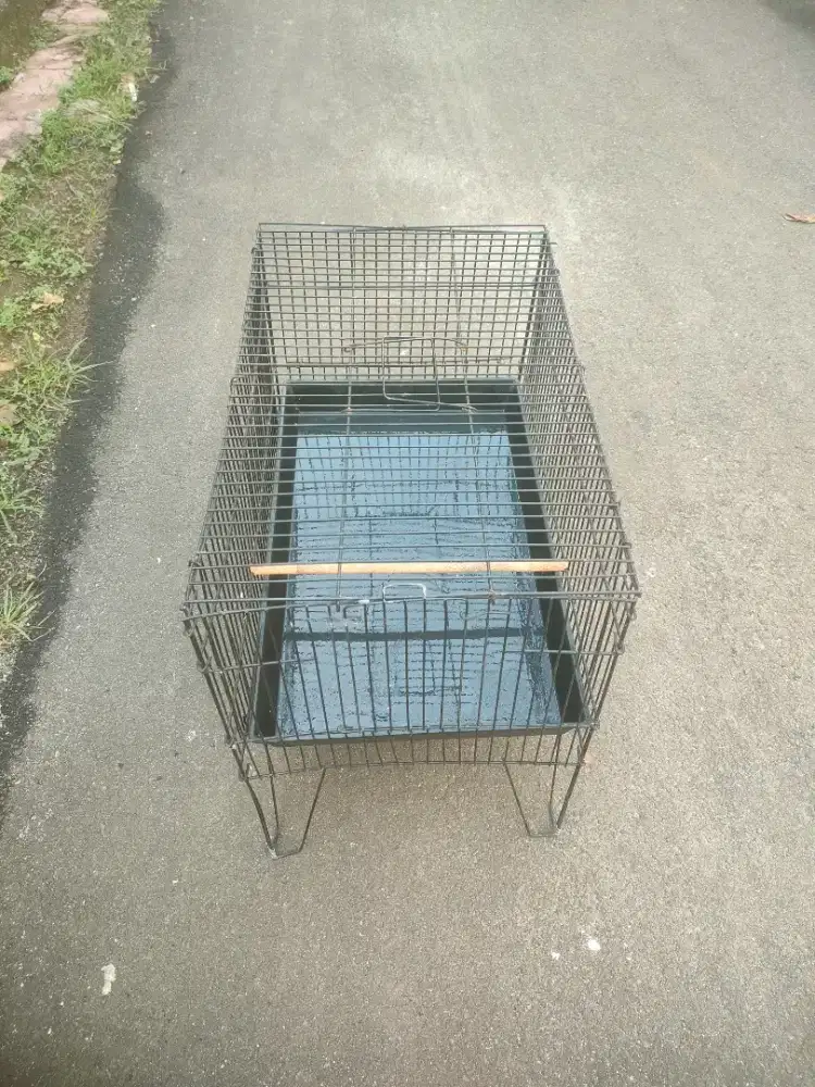 Kandang mandi buat burung