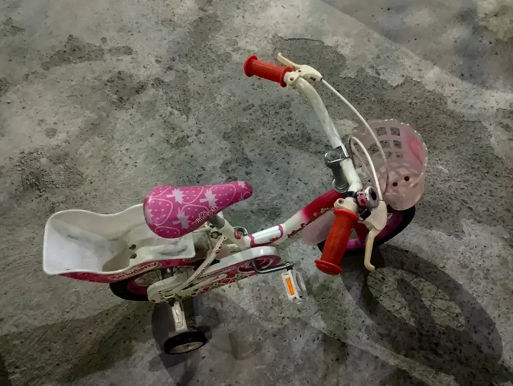 sepedaa anak-anak