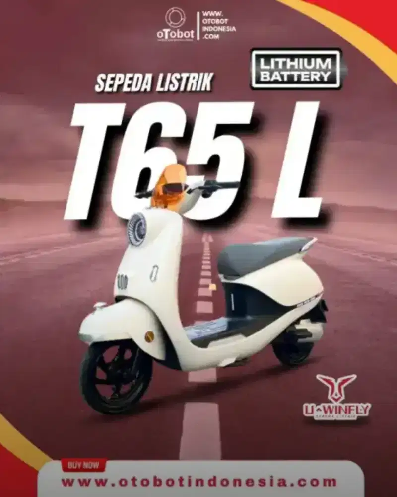 Sepeda Listrik UWINFLY T65L