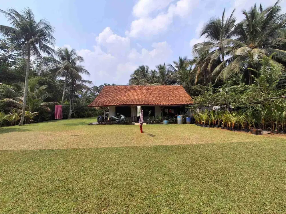 TANAH PLUS KOLAM IKAN COCOK BUAT INVEST