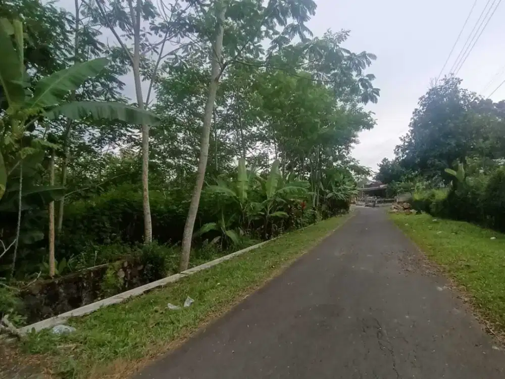 Dijual tanah cocok buat kebun durian dijumantono karanganyar