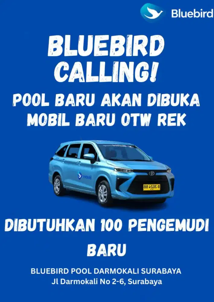 Driver bluebird sby