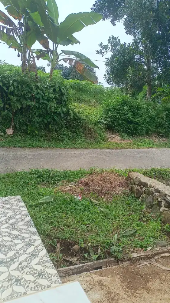Saya jual tanah shm murah