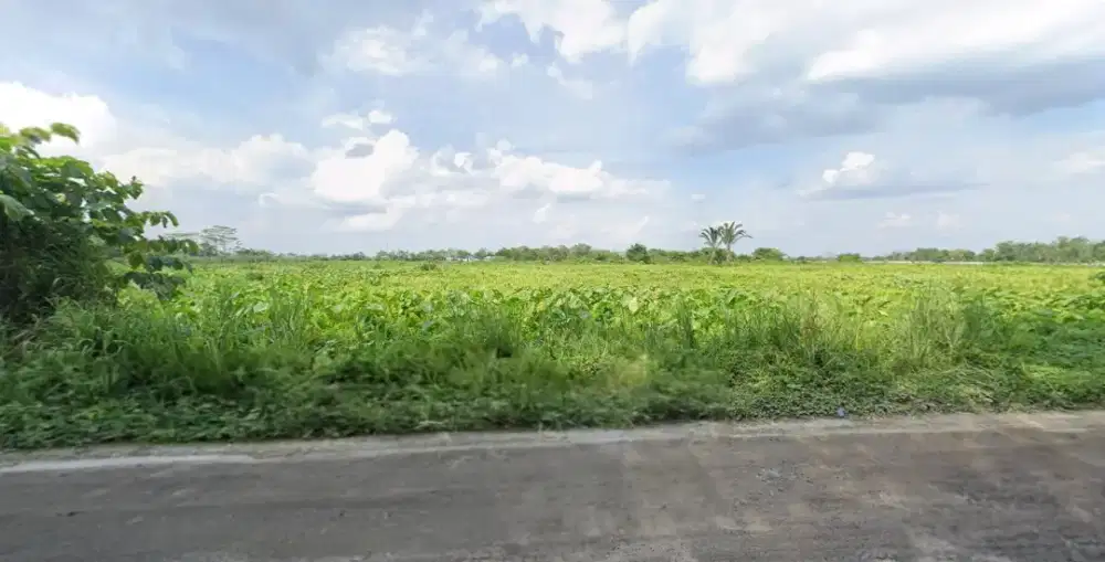 Jual Cepat Tanah 40 Hektar Palembang