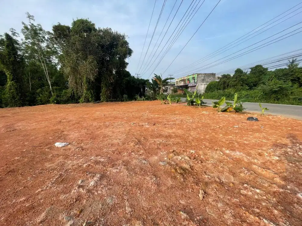 Tanah Pinggir Jalan Mata Merah Harga 280JT. Negooo