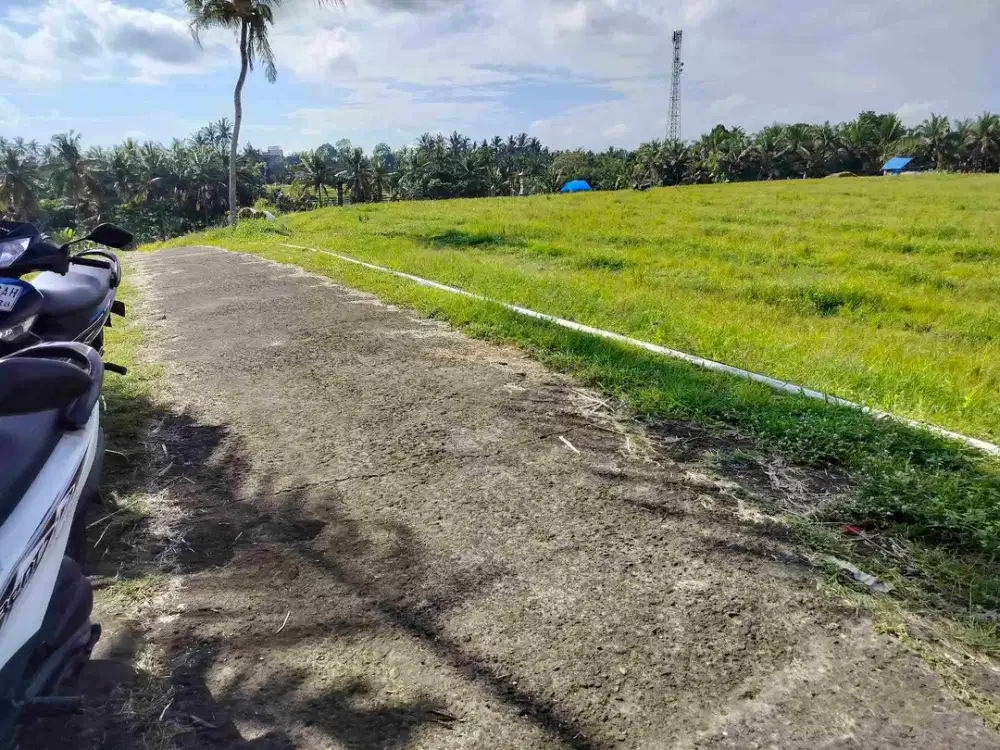 jual tanah.sawah pruduktip.lt 90 are hrg 35 jt/ are meliling