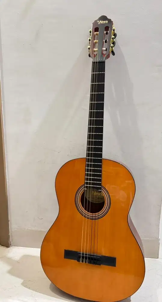 Gitar classic (Valencia VC264HVT)