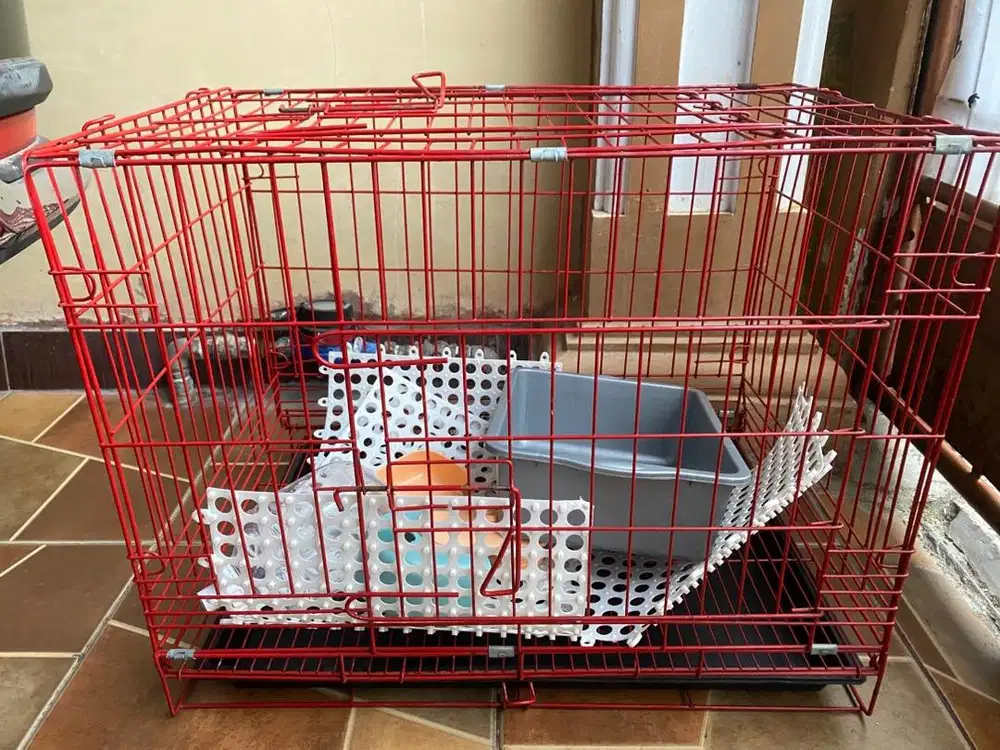 Perlengkapan Kandang Kucing