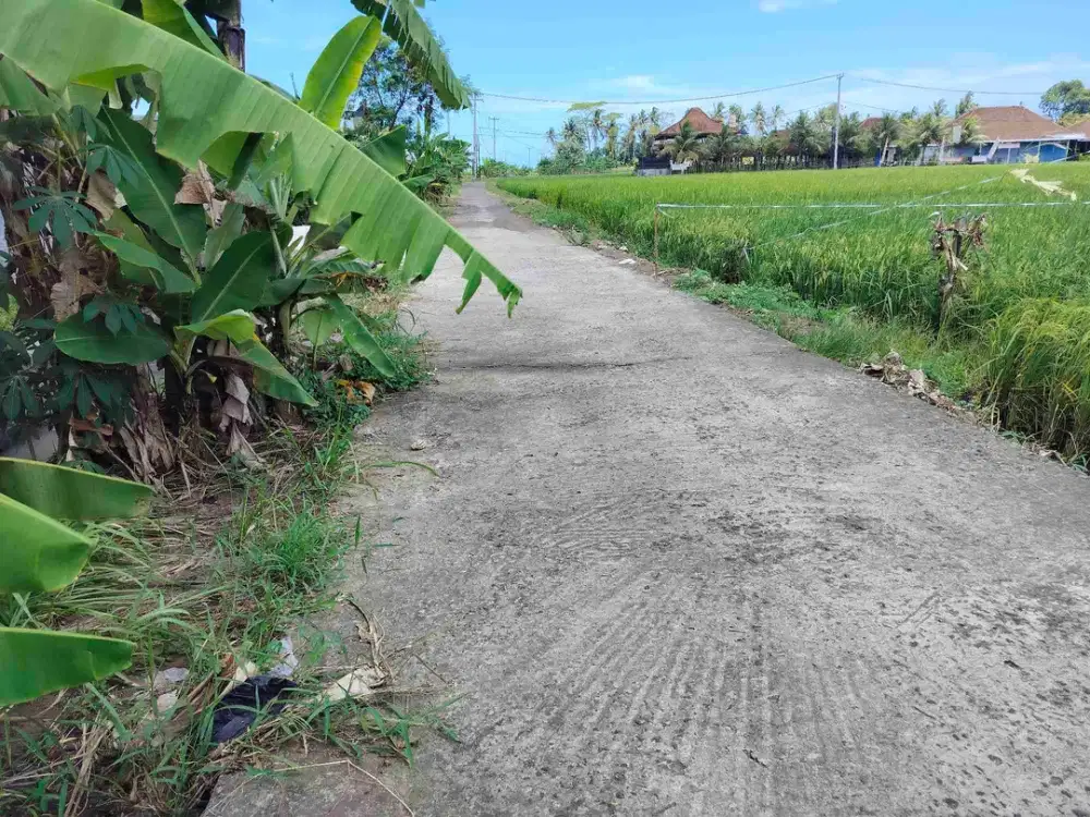 jual tanah 27 are hrga 190 lok tibubiu pasut.