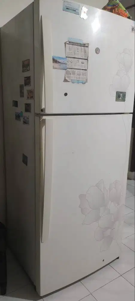 Kulkas LG 2 pintu