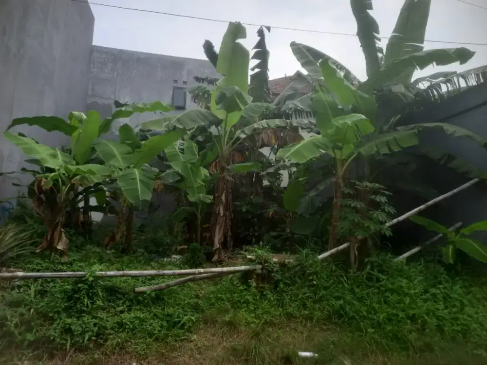 Jual Tanah 108m2 Jagakarsa