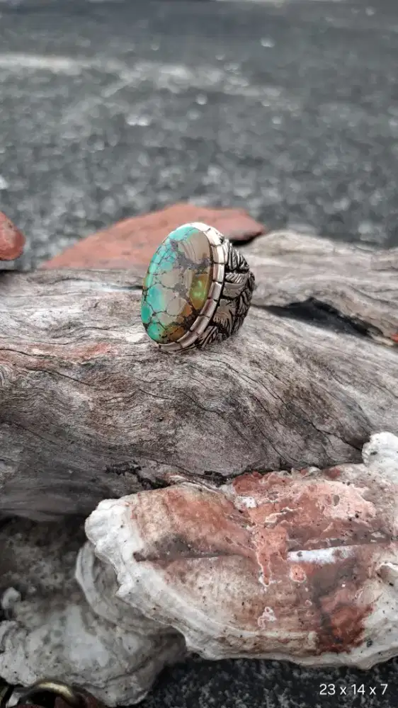 pirus hubei gradasi warna yin & yang