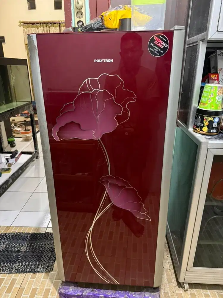 Kulkas Polytron 1 pintu