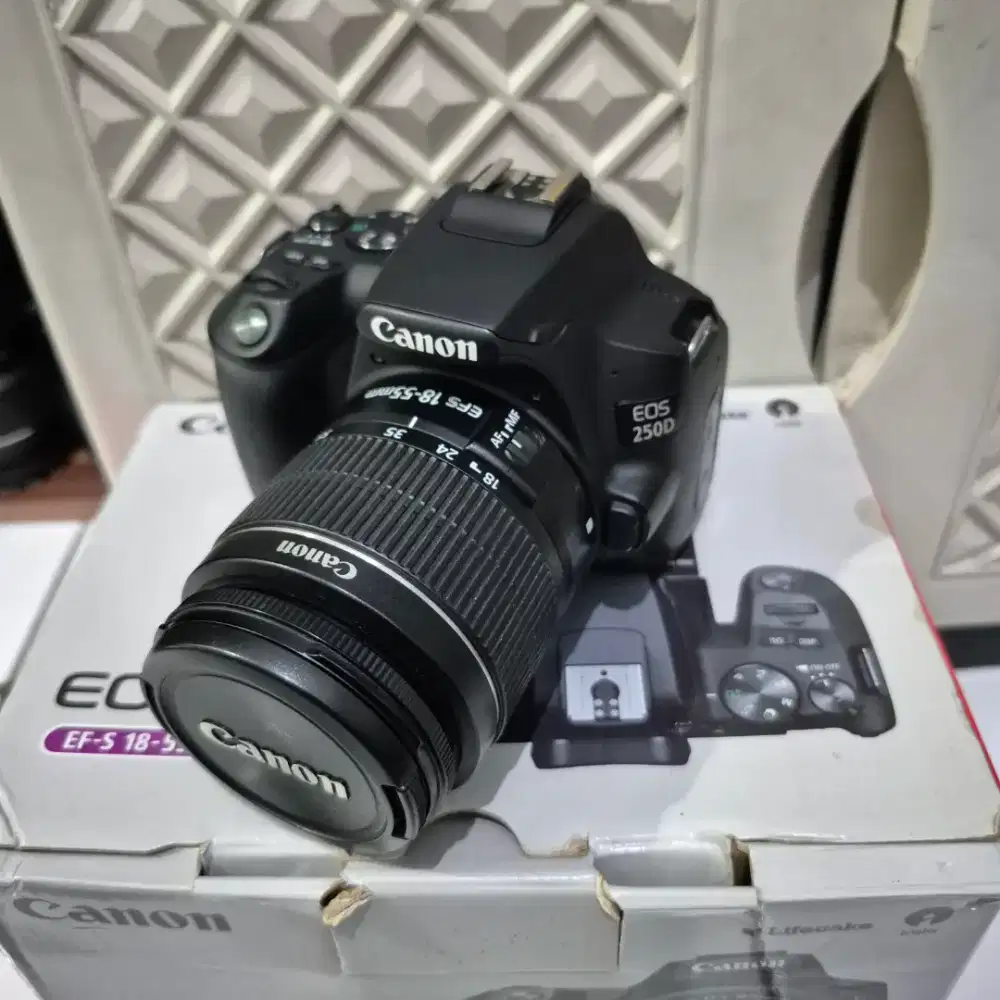 Kamera dslr canon 250d kit 18-55 normal