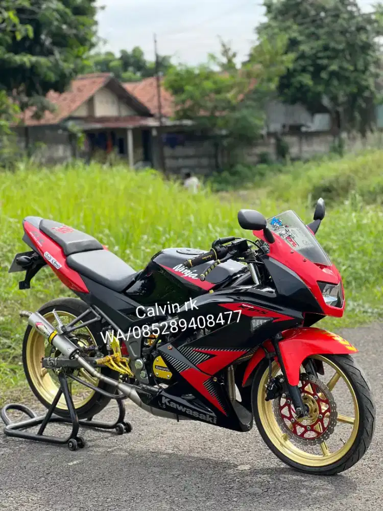 Ninja rr new 2015