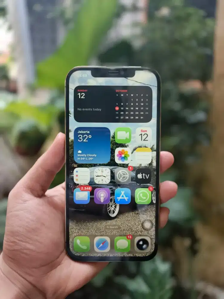 Iphone 12 pro max 128gb dual sim