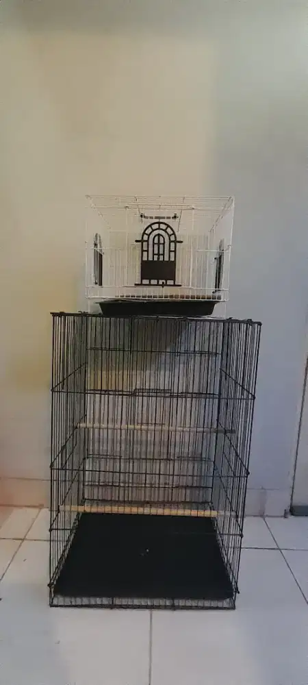 Kandang SG,Burung atau kucing