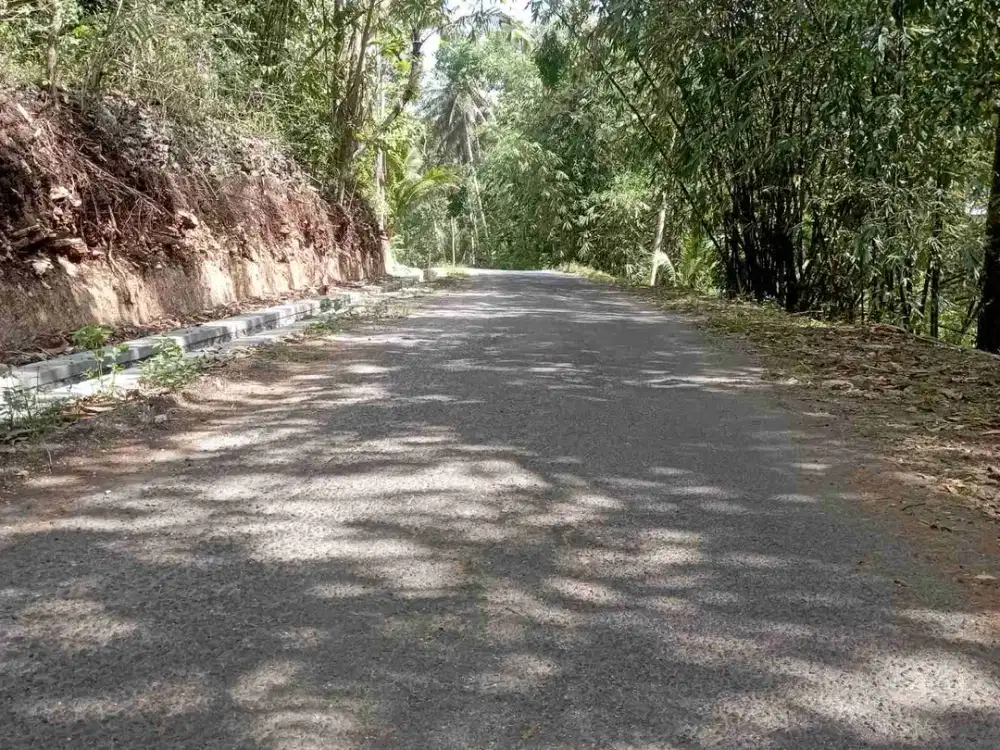 Tanah Murah dekat jl Raya Pengasih-Sermo