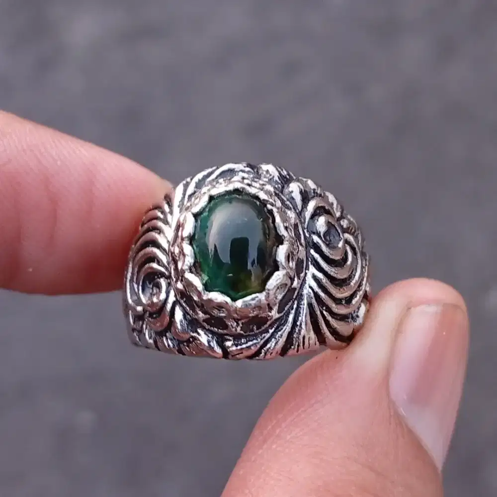 Bacan gulai small size dim 10