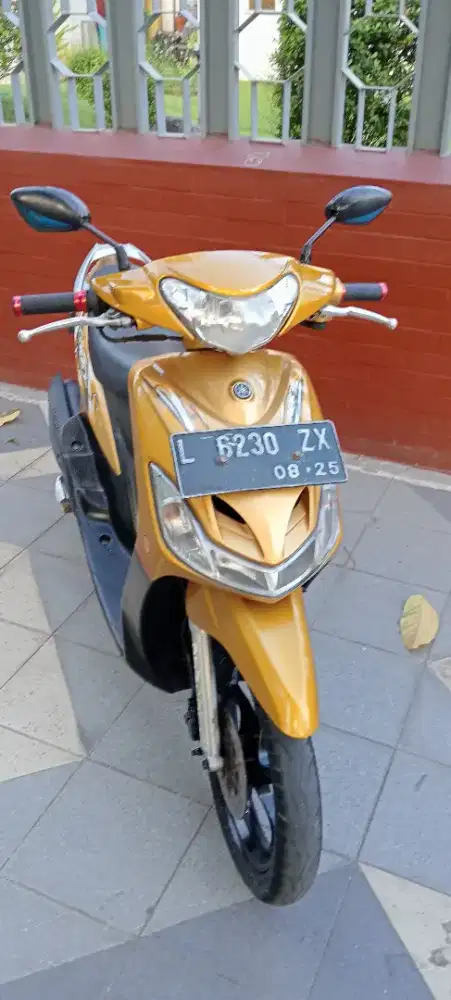 Mio sporty kuning emas asli