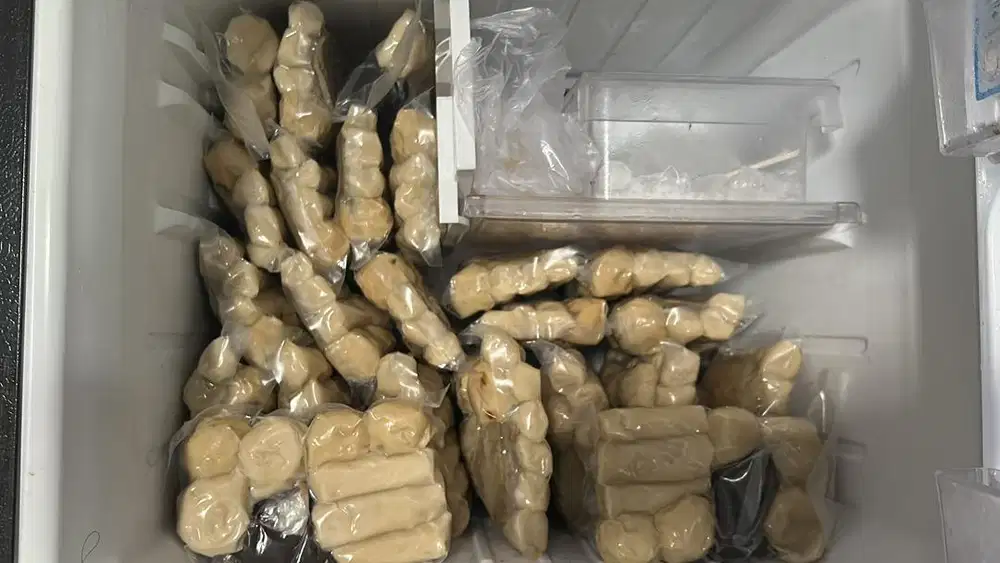 Mpekmpek ikan asli Jambi