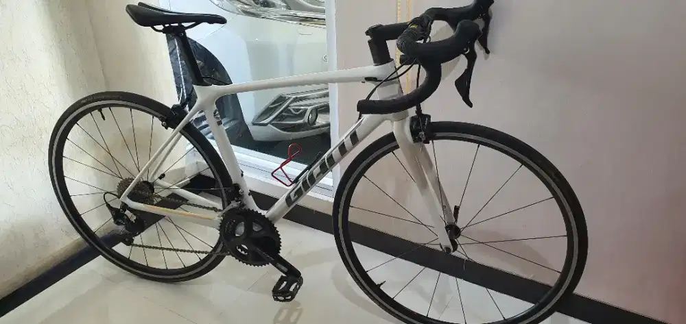 Roadbike Giant tcr 2022