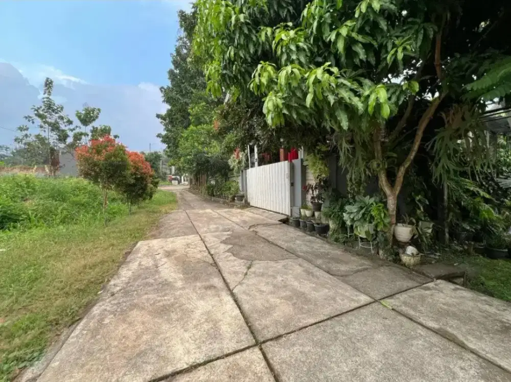 Dijual Kavling Tanah SHM Termurah Dekat UNDIP