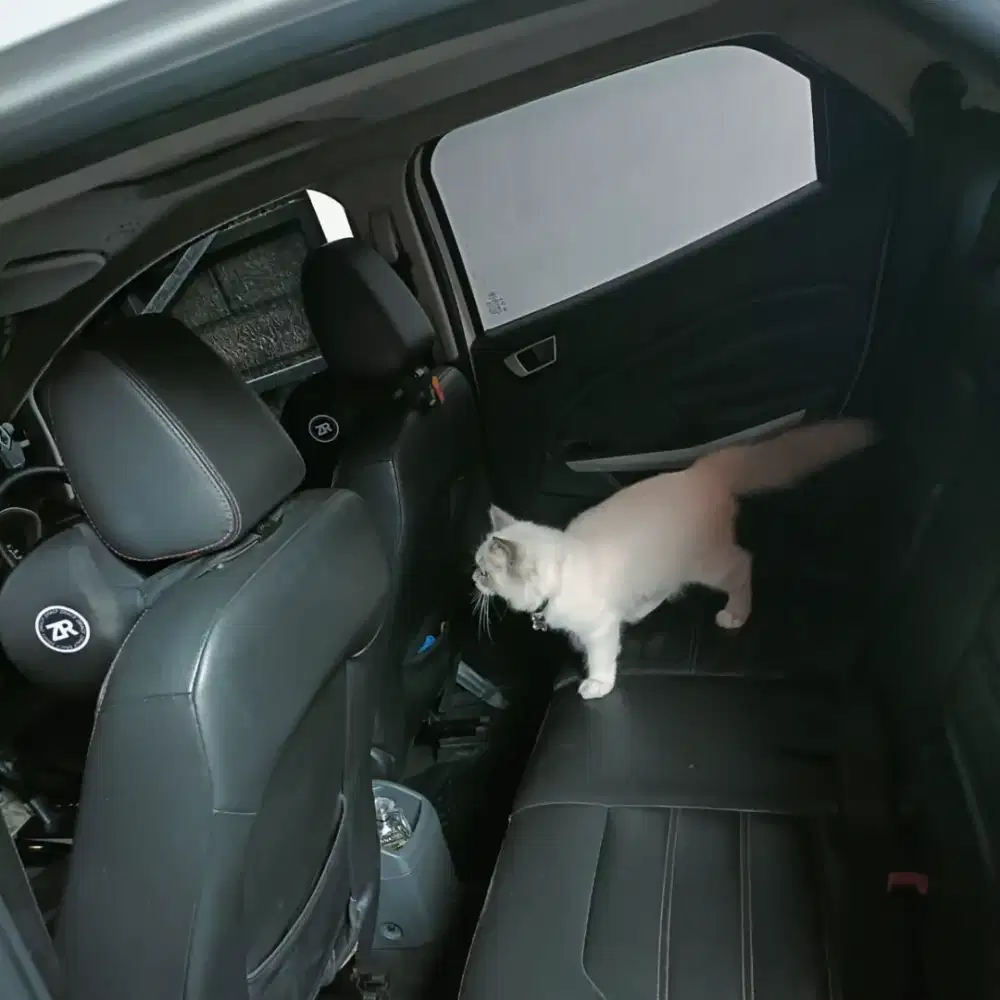 Ford Eco Sport 2015 Bensin